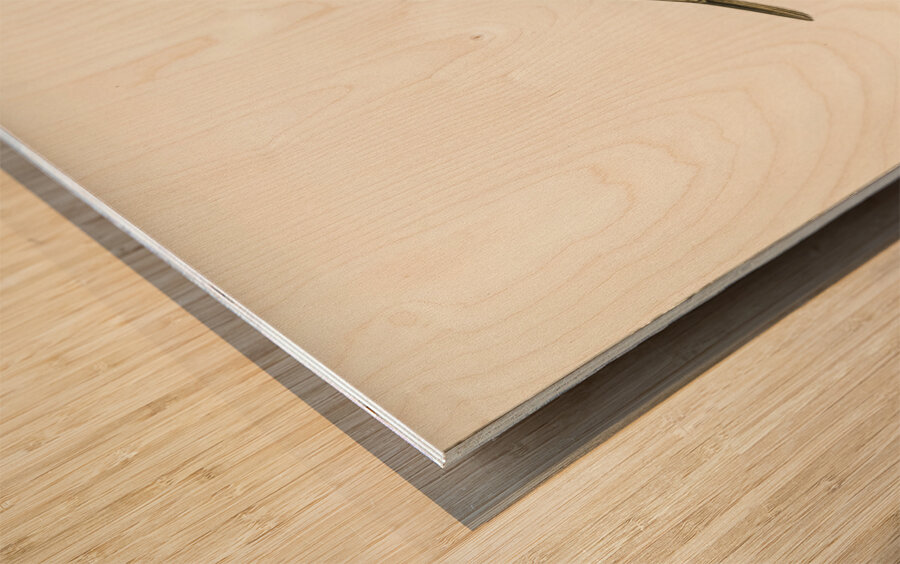 Locustella naevia Wood print