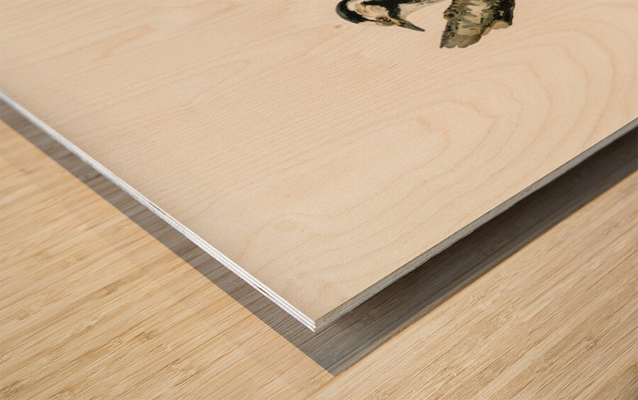 Dryobates minor Wood print