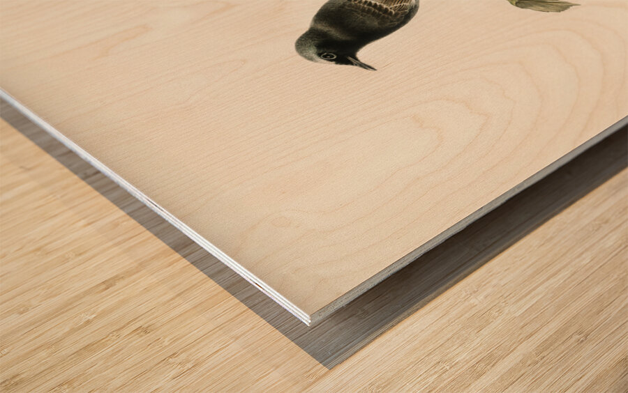 Aegithalus caudatus Long-tailed tit Wood print