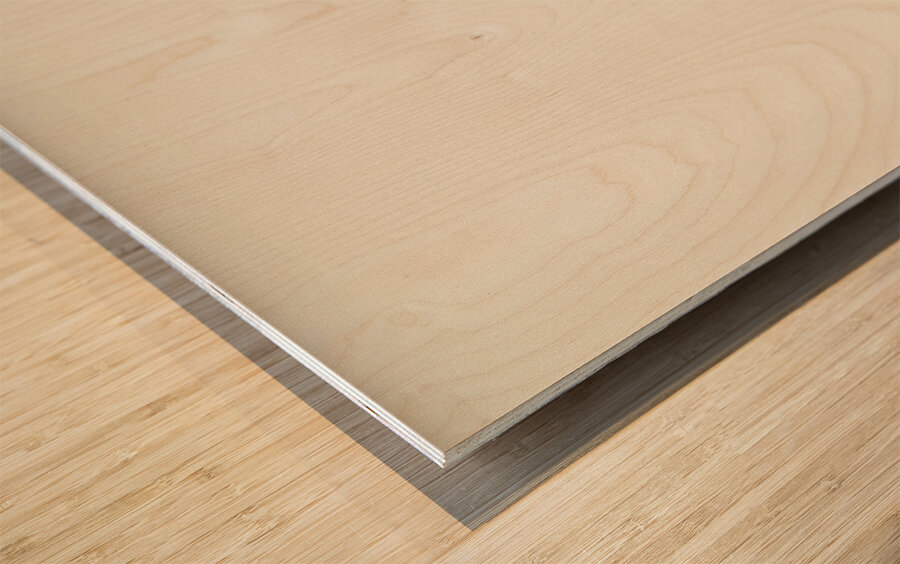 Twite Acanthis flavirostris Wood print