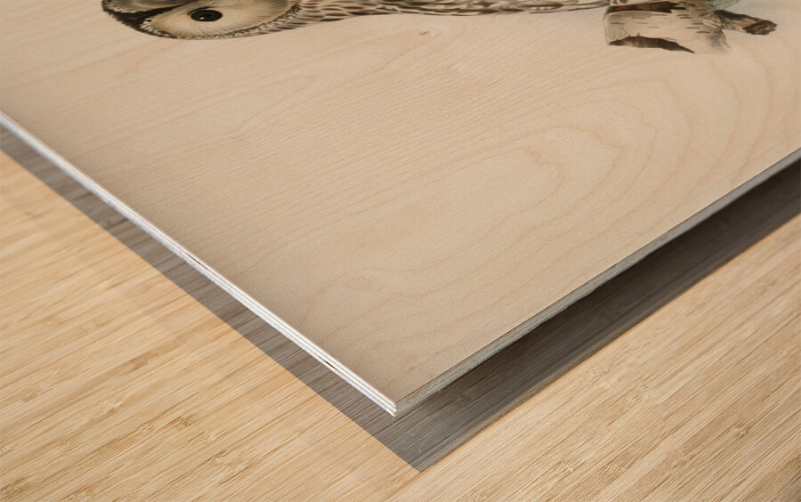 Strix uralensis ♀ Wood print