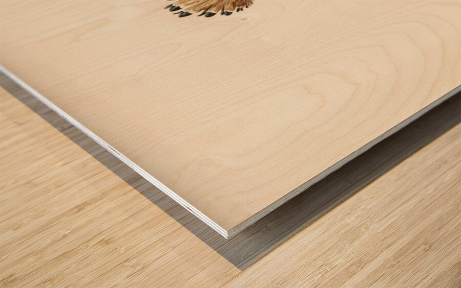 Upupa epops Wood print