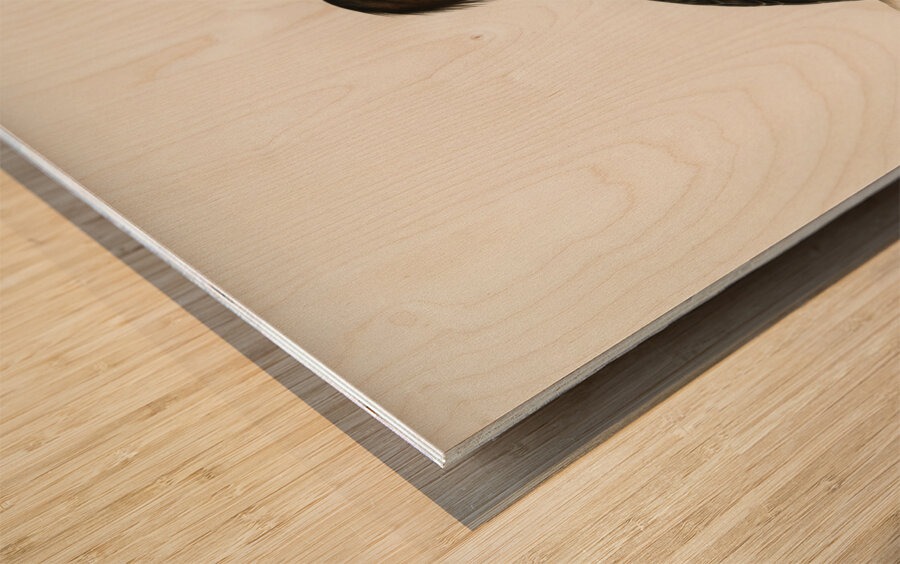 Mergus serrator Wood print