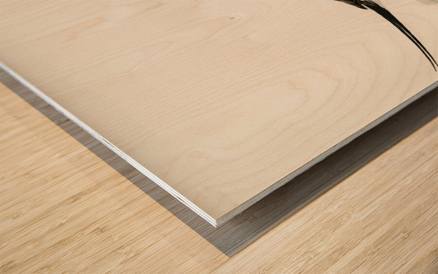 Long-tailed Duck male Harelda hyemalis Wood print