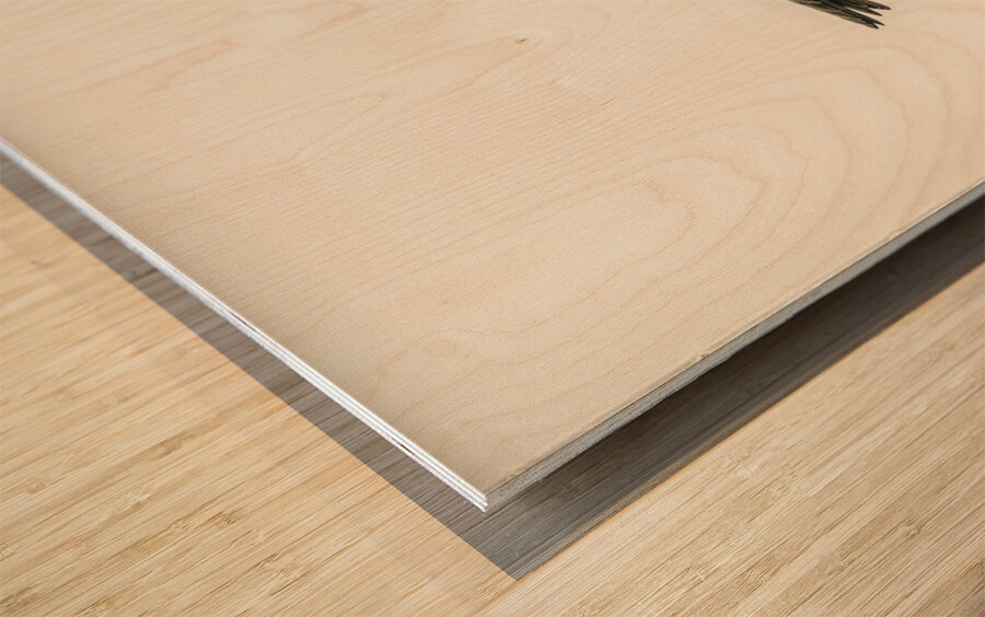 Riparia riparia Wood print