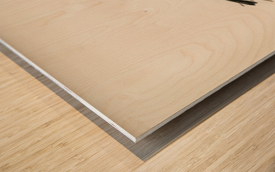 Black-capped chickadee Parus atricapillus Wood print