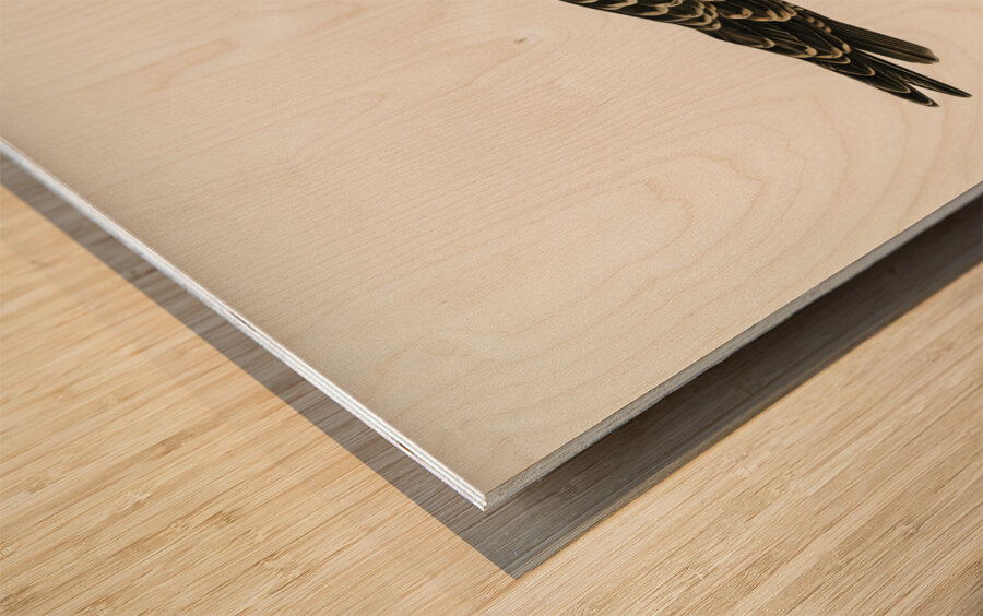 Parasitic jaeger Stercorarius parasiticus Wood print