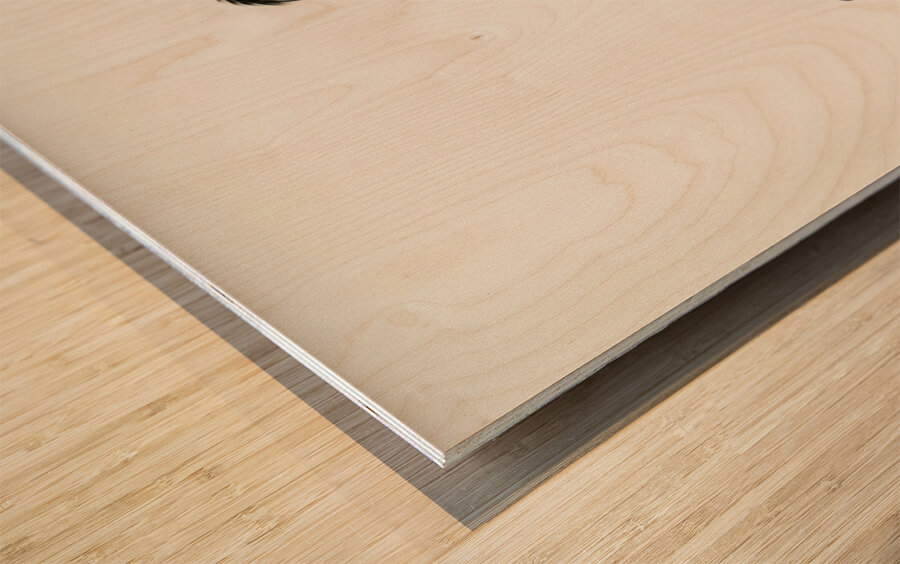 Gray heron Ardea cinerea Wood print