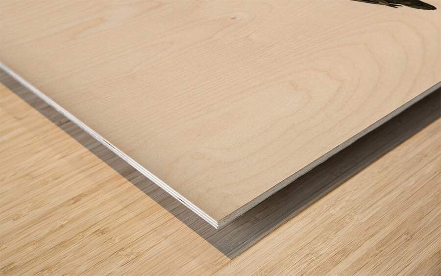 Greater Scaup Scaup female Nyroca marila Wood print