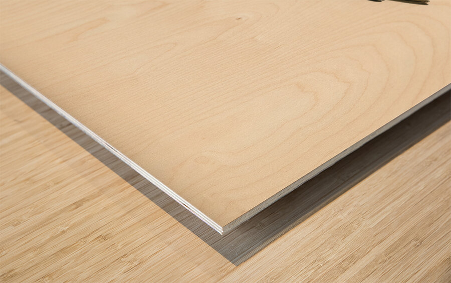 Garden warbler Sylvia borin Wood print