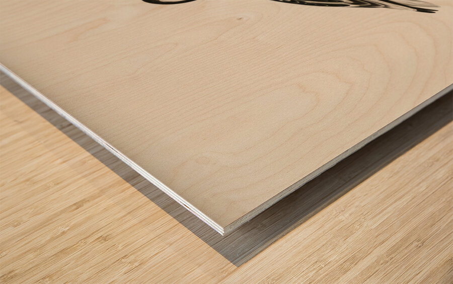 Pied avocet Recurvirostra avosetta Wood print