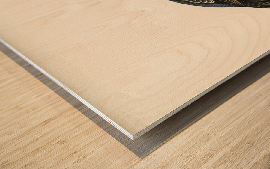 Black grouse Lyrurus Tetrix Wood print