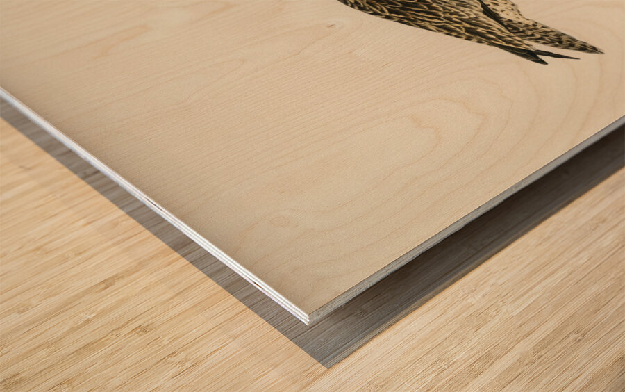 Eurasian curlew numenius arquatusf Wood print