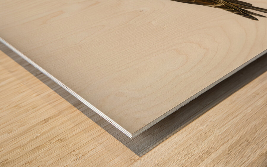 Pomarine jaeger Stercorarius pomarinus Wood print