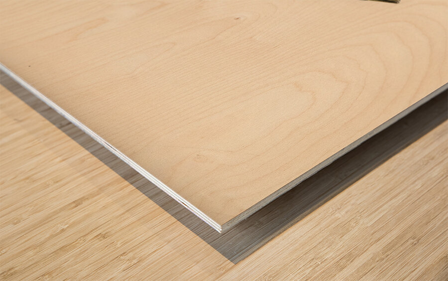 Wood Warbler Phylloscopus sibilatrix Wood print