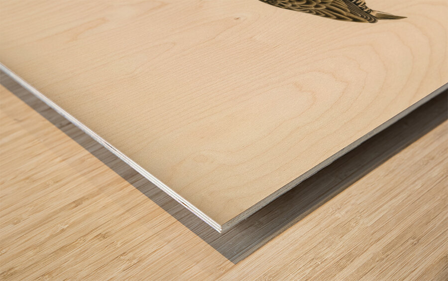 Water rail Rallus aquaticus Wood print