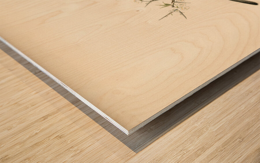 Barred warbler ♂ Sylvia nisoria Wood print