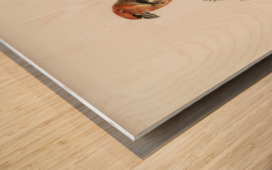 Two-barred crossbill Loxia leucoptera bifasciata Wood print