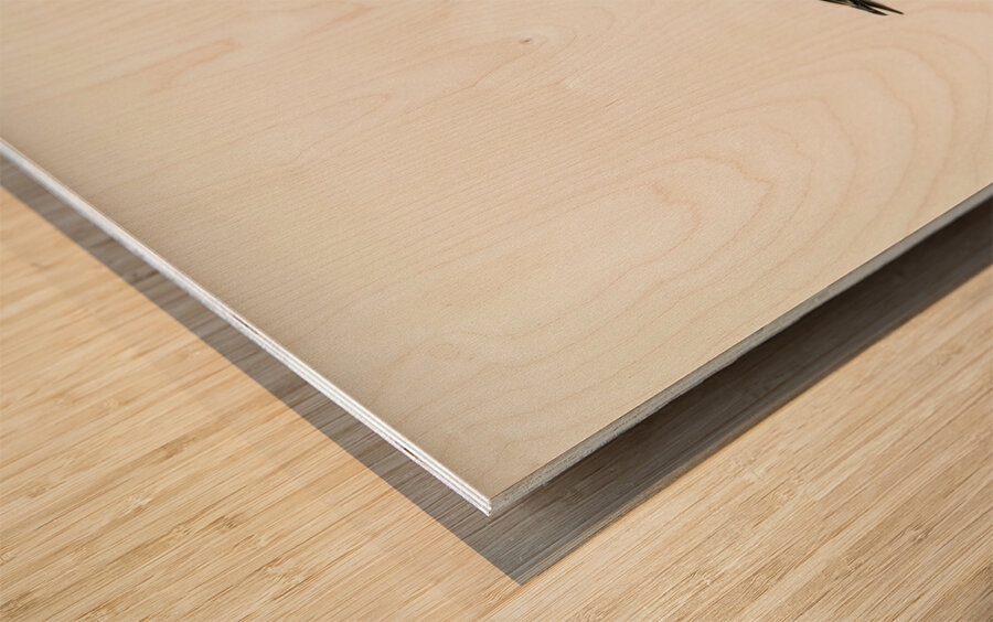 Temminck&39s Stint tringa temminckii Wood print