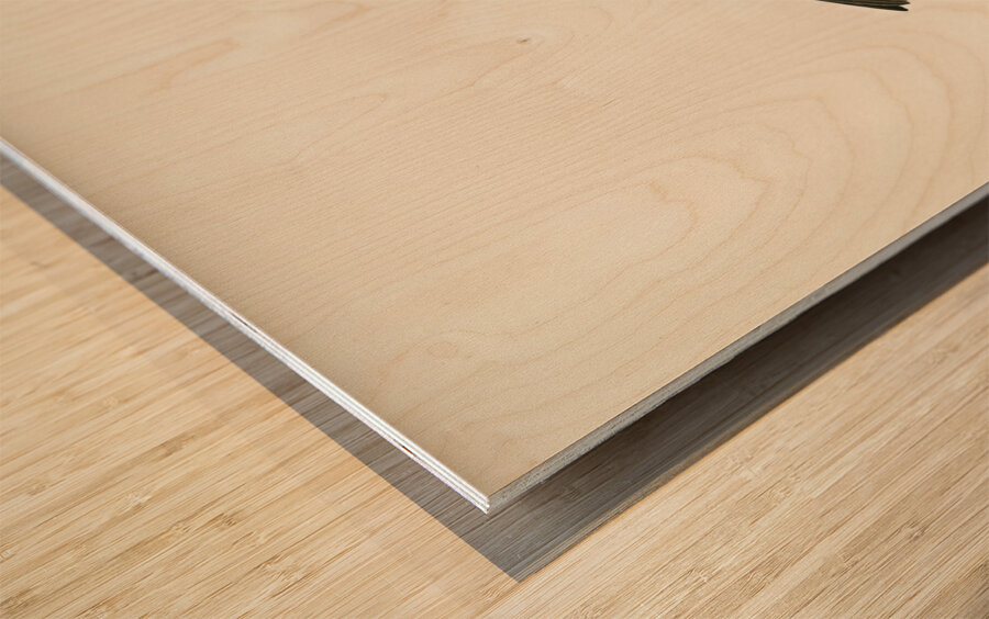 Temminck&39s Stint tringa temminckii Wood print