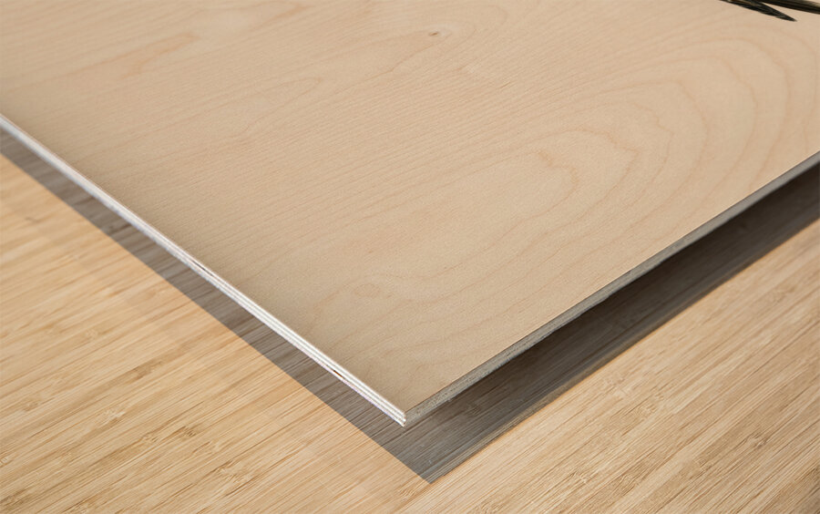 European roller CORACIAS GARRULUS Wood print