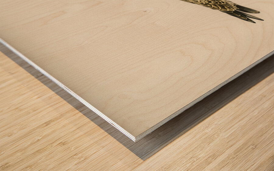 Leser black-backed gull Larus fuscus Wood print