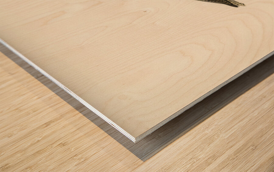 Common redshank Totanus totanus Wood print