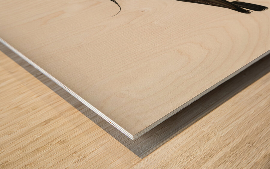 Northern labwing Vanellus vanellus Wood print