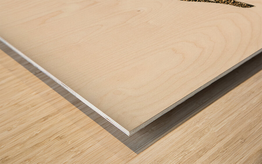 Water pipi ANTHUS SPINOLETTA RUPESTRIS Wood print