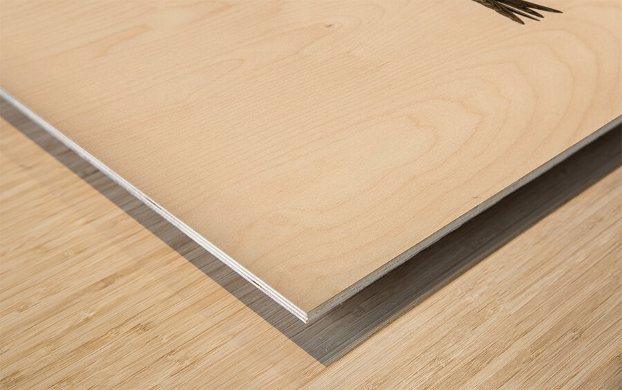 Hirundo Urbica Wood print