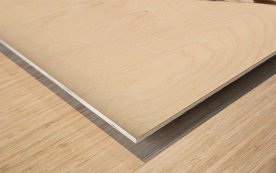 Willow ptarmigan Wood print