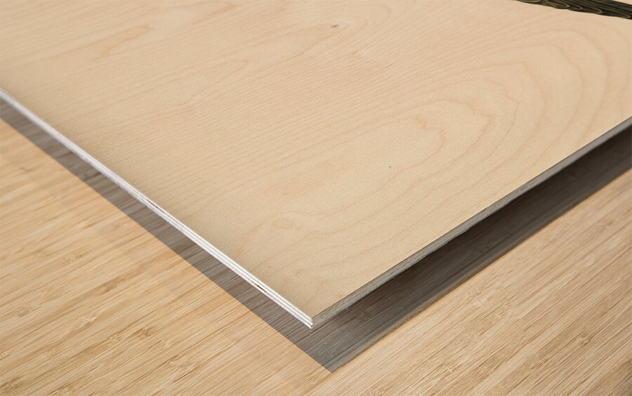 Rook Corvus Frugilegus Wood print