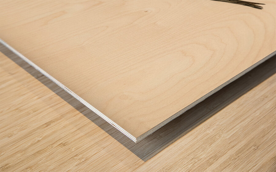 Young common house-martin Hirundo urbica Wood print