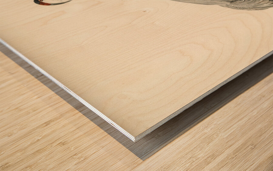 Common Crane Grus Grus Wood print