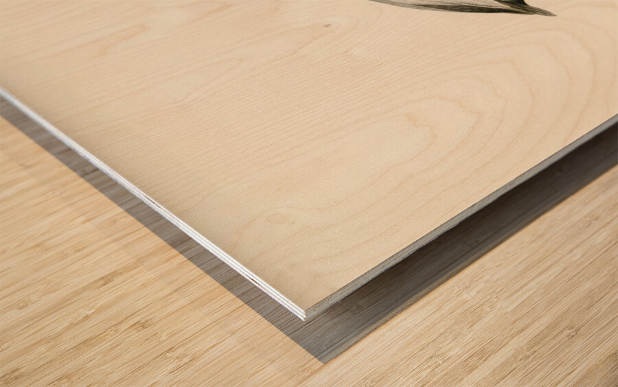 Common Pochard male ♂ Nyroca ferina Wood print