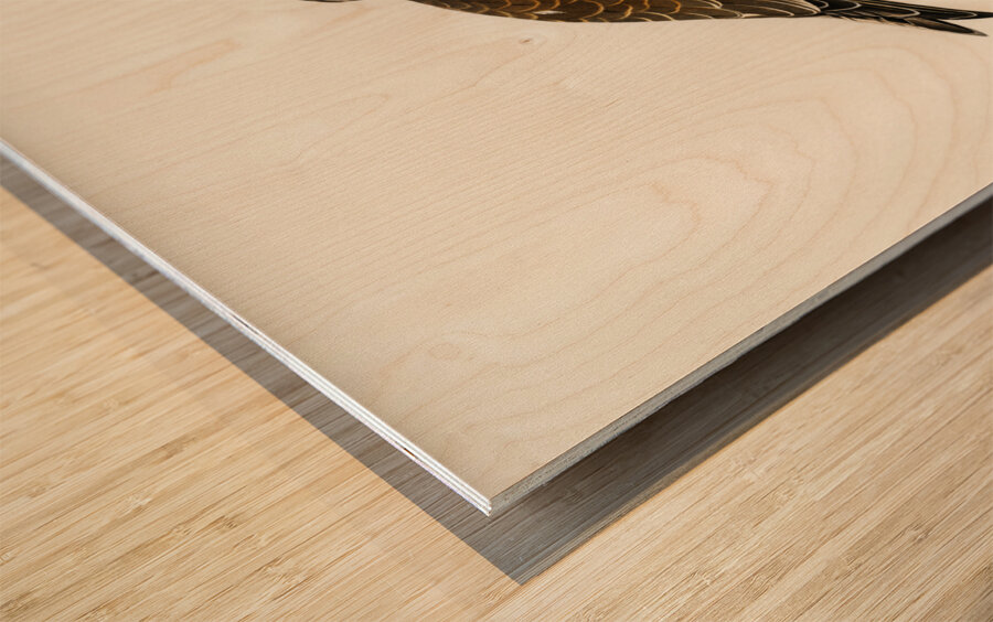 Eurasian Sparrowhawk Accipiter nisus Wood print