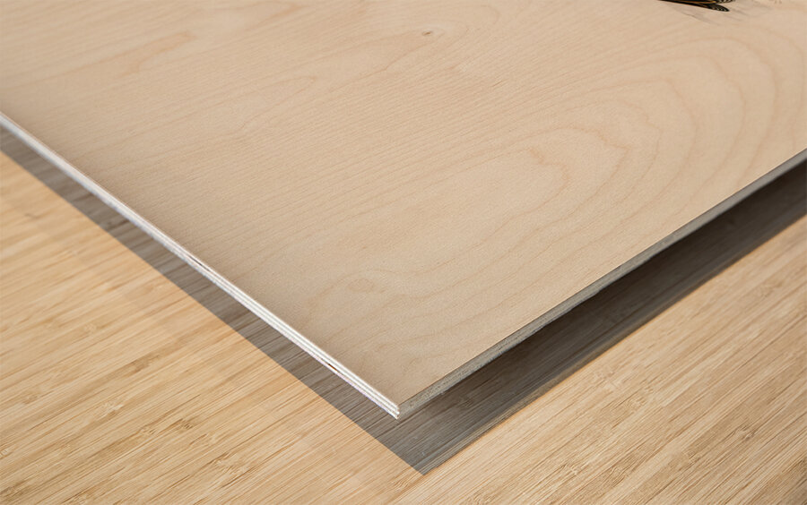 Horned lark Eremophila alpestris flava Wood print