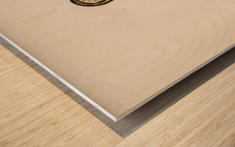 Young horned grebe Podiceps auritus Wood print