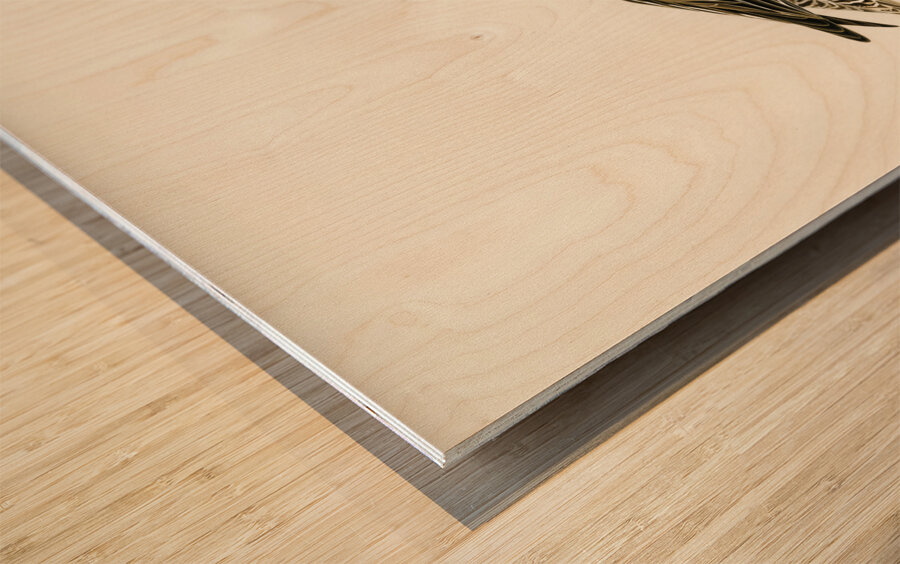 Garganey male Anas querquedula Wood print