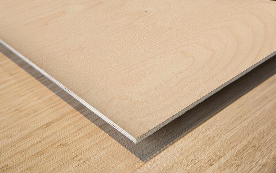 Western capercaillie TETRAO UROGALLUS Wood print