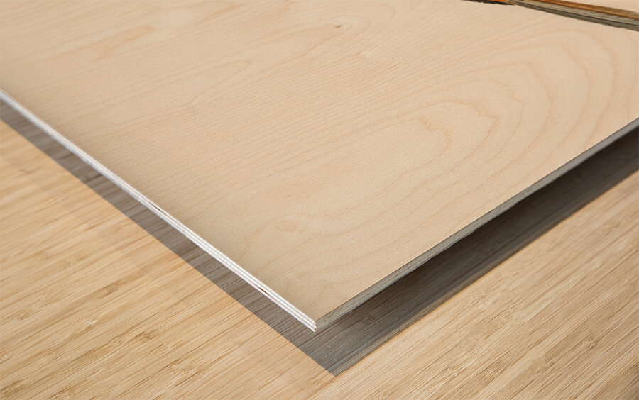 Siberian Jay Perisoreus infaustus Wood print