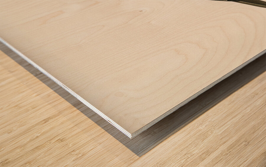 Great cormorant Phalacrocorax Carbo Wood print