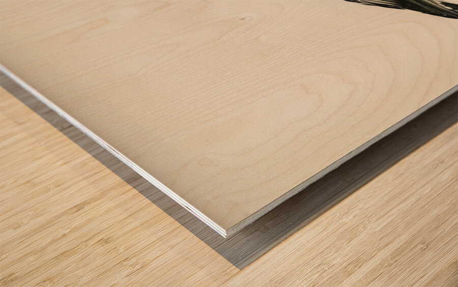 Barnacle Goose BRANTA LEUCOPSIS Wood print