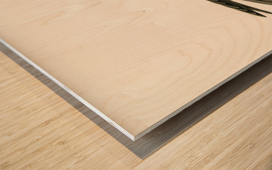 Eurasian Hobby Falco subbuteo Wood print