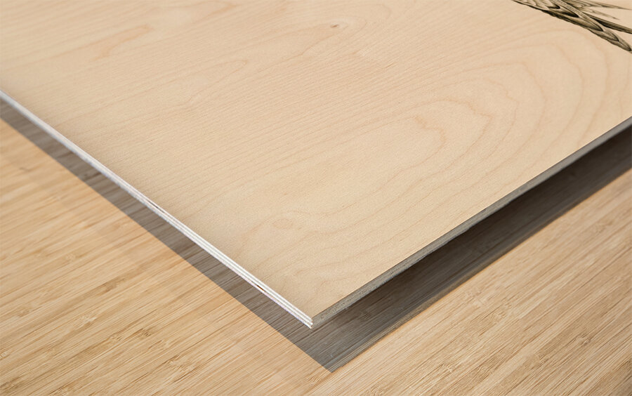 Caspian lern HYDROPROGNE CASPIA Wood print