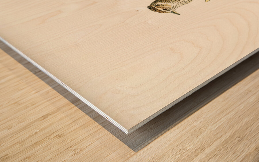 Woodlark Lullula arborea Wood print