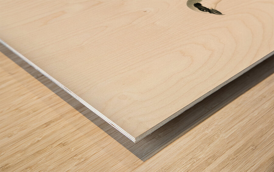 Red-backed Shrike male Lanius collurio Wood print