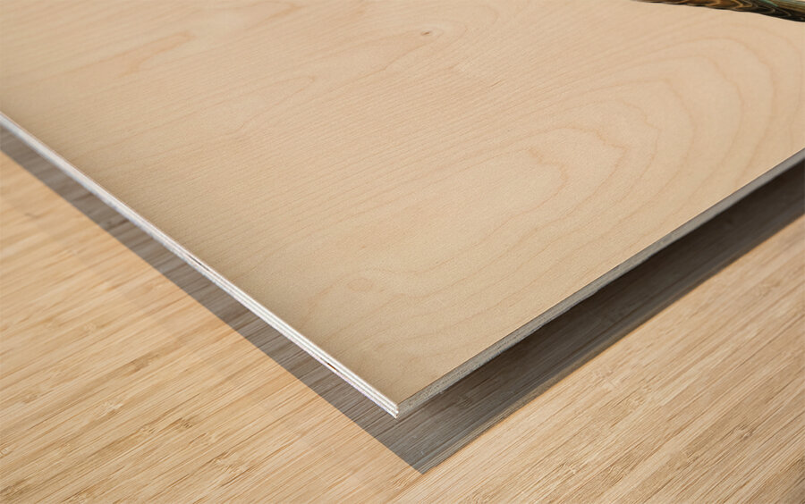 European roller CORACIAS GARRULUS Wood print