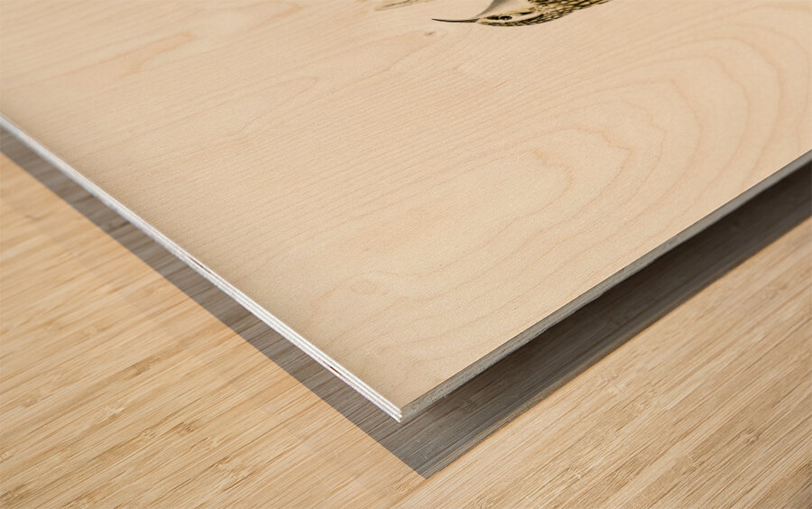 Eurasian treecreeper Certhia familiaris Wood print