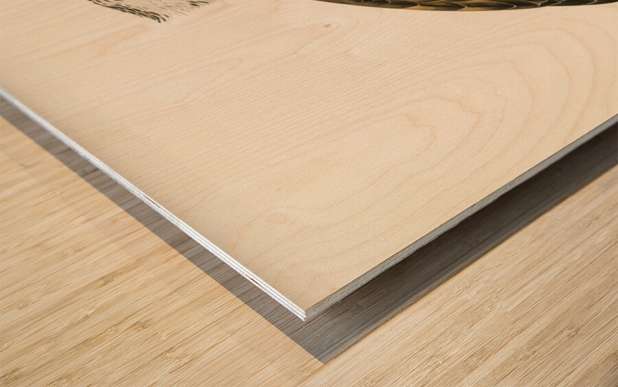 Osprey Pandion haliaetus Wood print